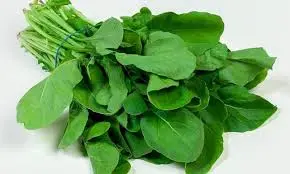 arugula