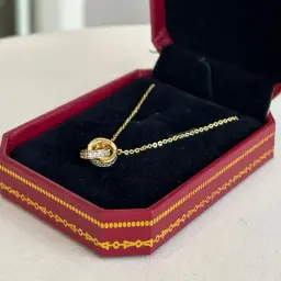 Golden Elegance Circle Necklace