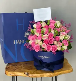 Hanoverian Chocolate with Roses Code-2