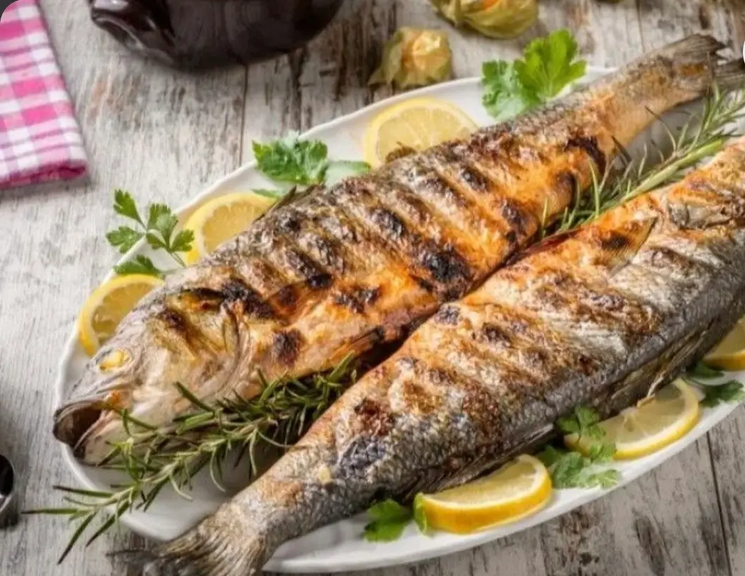 Egyptian Sea Bass