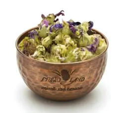Althaea Officinalis R237