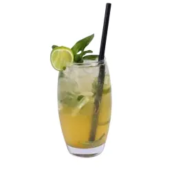 Mango Passion Mojito