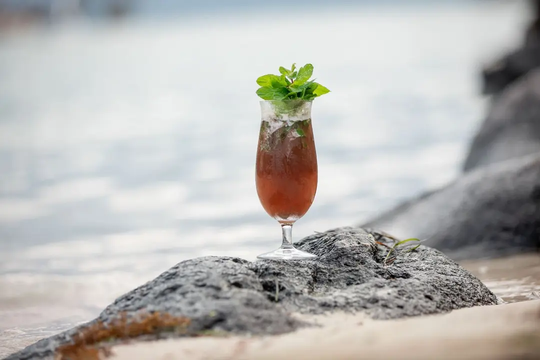 Blueberry Mojito