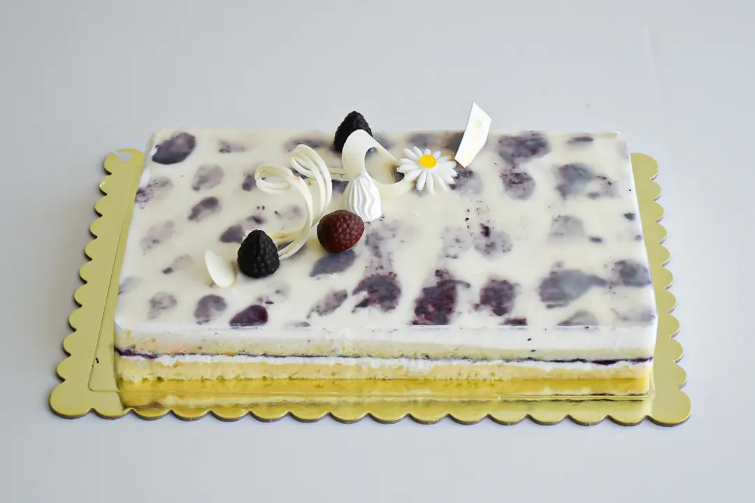 Blueberry Cake 20*30
