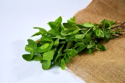 نعناع بالرابطة