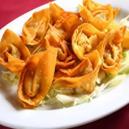 Fried Wonton