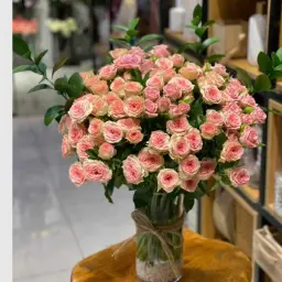 فازة جوان