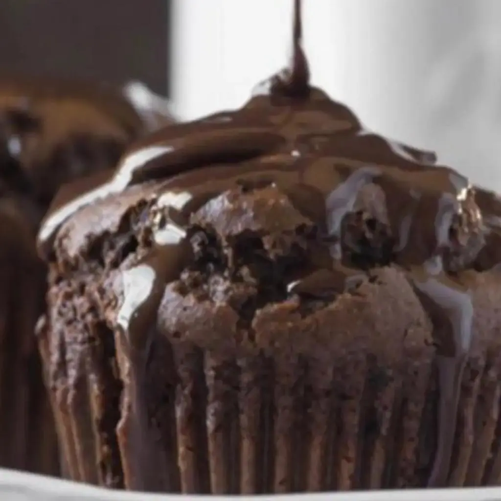 Chocolate Muffin