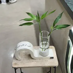 فازة البامبو