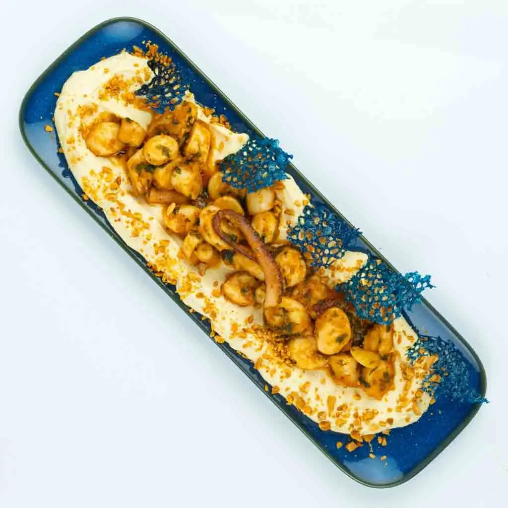 Hummus octopus