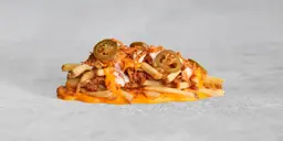 Sloppy Style Fries