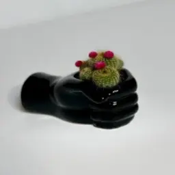 Dutch Cactus on Luxury Figurine 2