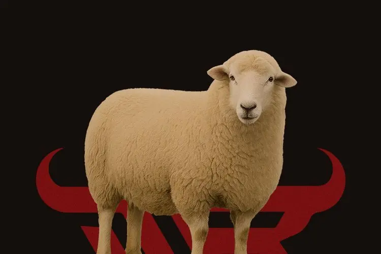 Large Romani