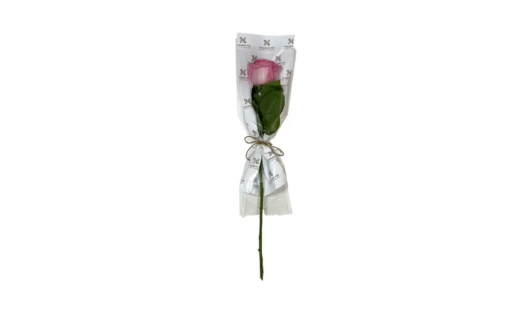 Pink rose