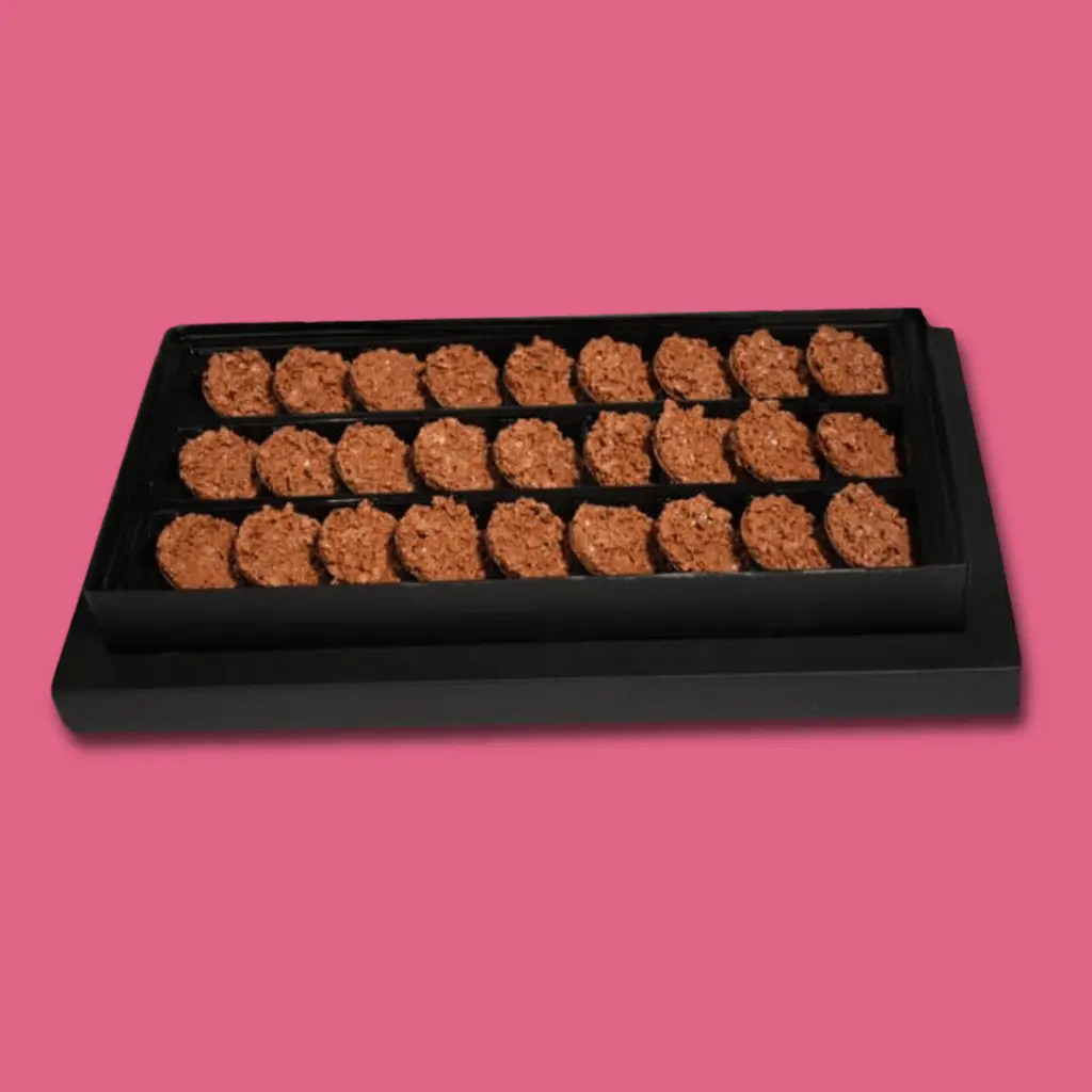 Crunchy Bites