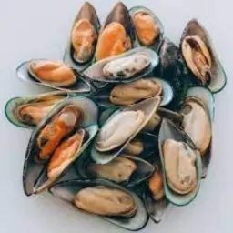 بلح البحر محار