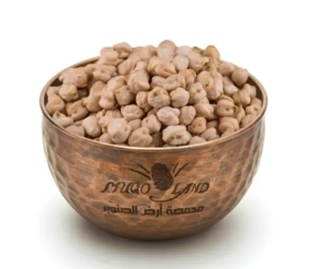 Chickpeas Seed R41