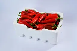 فلفل حار شقراء