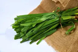كراث بالرابطة
