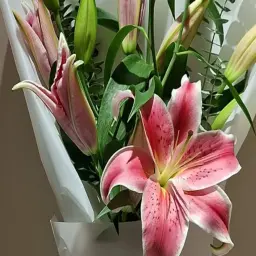باقة الليليوم