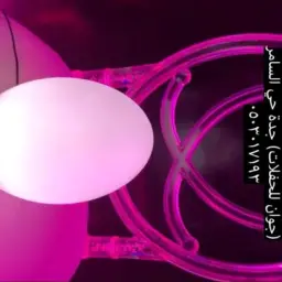 أبجورة بيضاوي مضيئة ريموت كنترول 16 لون