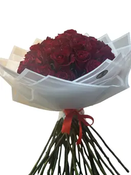 اسف4