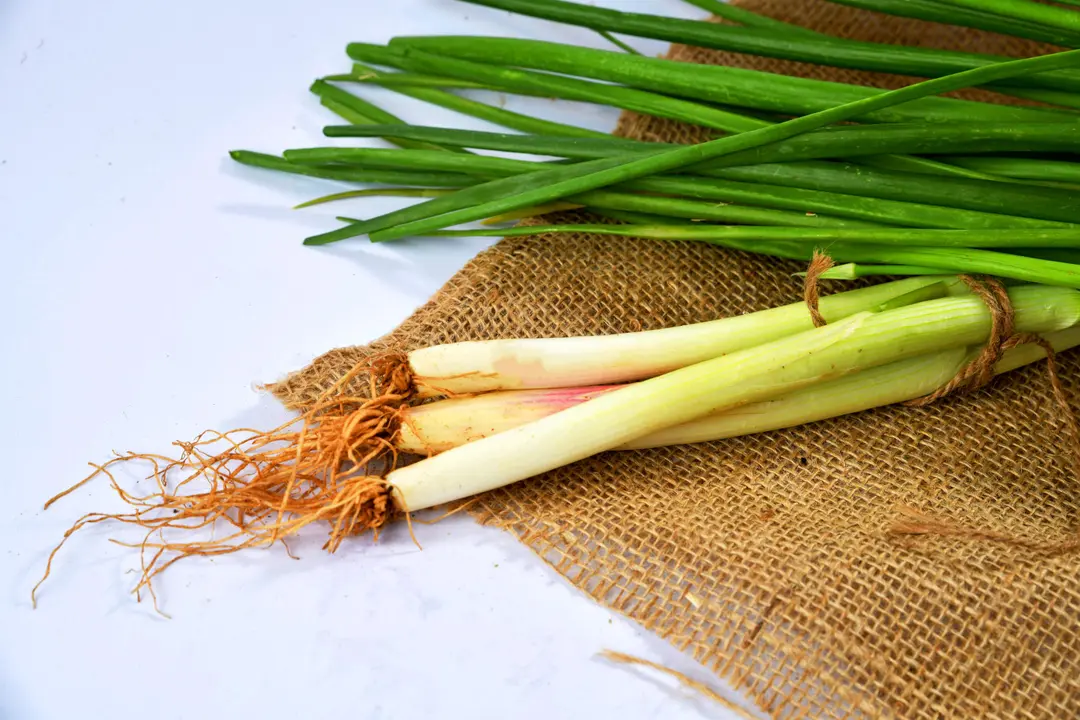Green onion