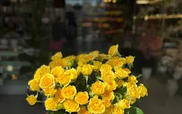 فلورا