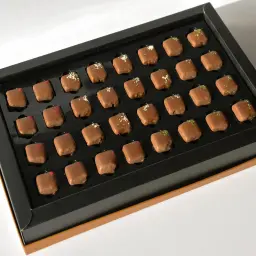 Belgian Chocolate Box with Assorted Fillings 19
