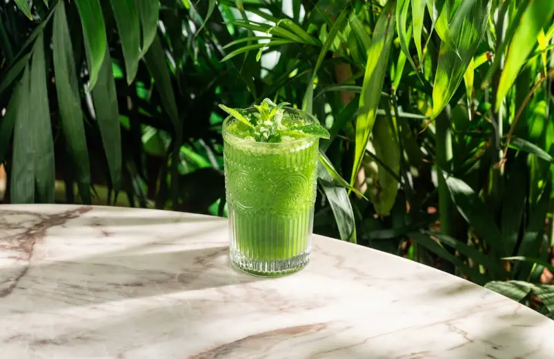 Lemon & Mint Soda