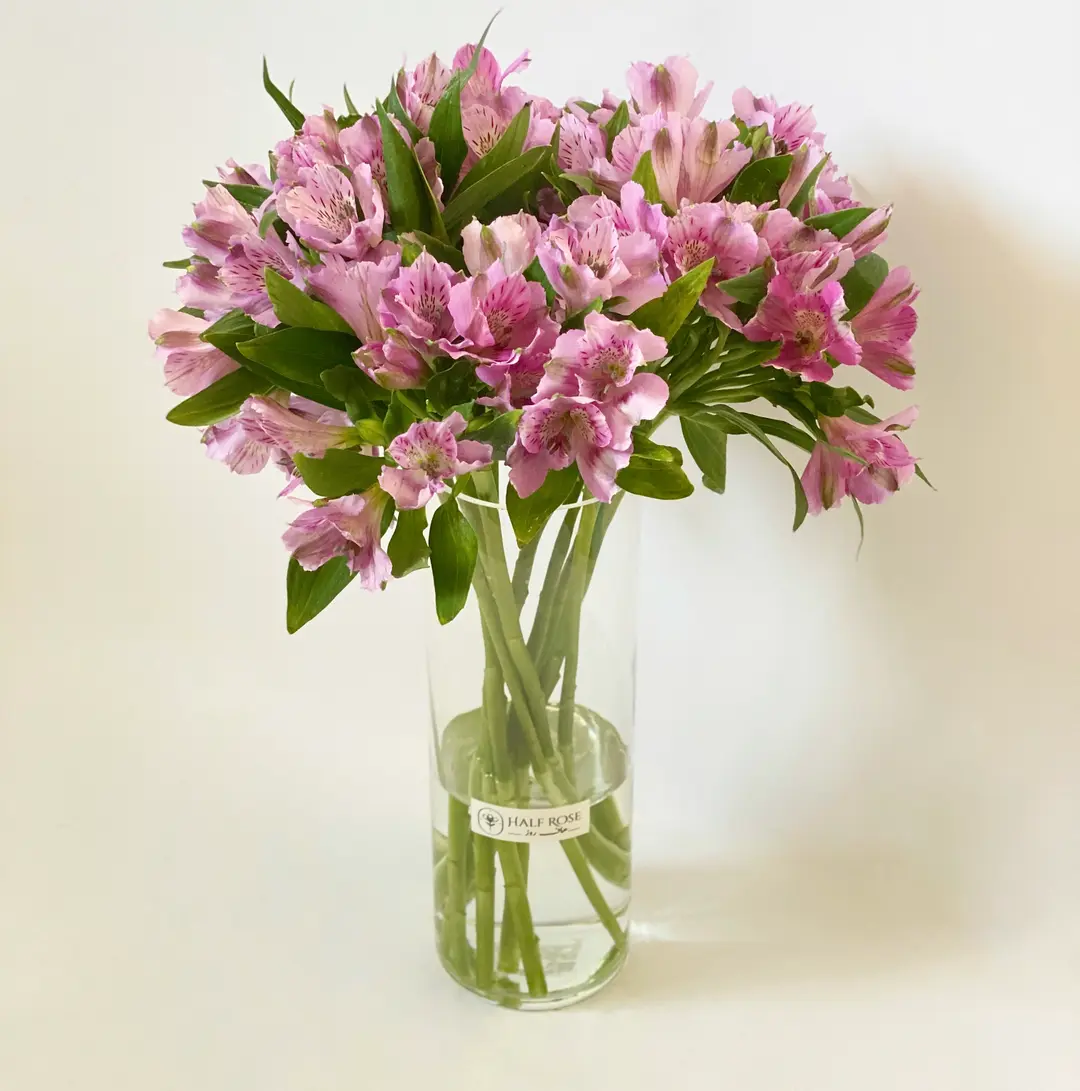 Astomeria Mauve Vase