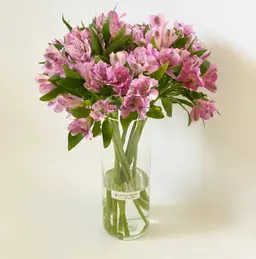 Astomeria Mauve Vase