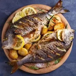 سمك دنيس