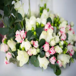 بحيرة البجع