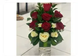 فازة بوفارديا