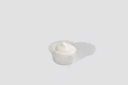 Mayonnaise sauce
