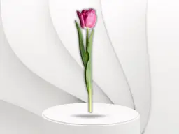 Tulip