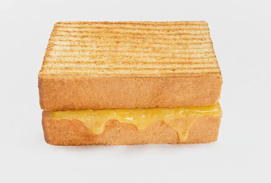 Cheese Sandwich