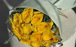 الأزهار المنعشة