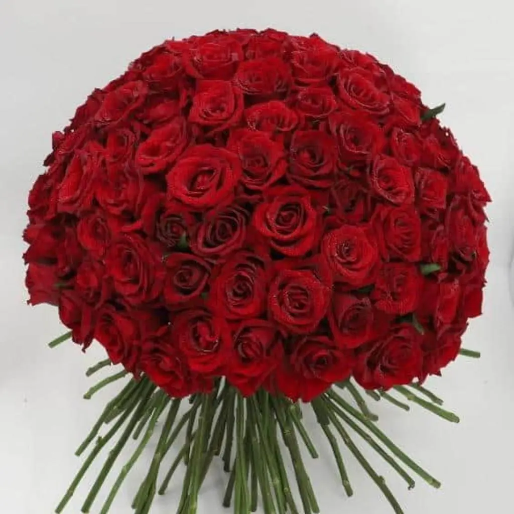 ايه 12