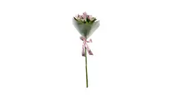 الستروميريا وردي