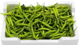 Hot pepper