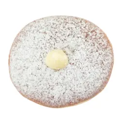 Bavarian Custard