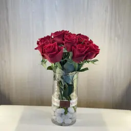 الأحمر
