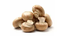 طبق فطر بني