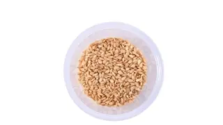 Sesame Syrup