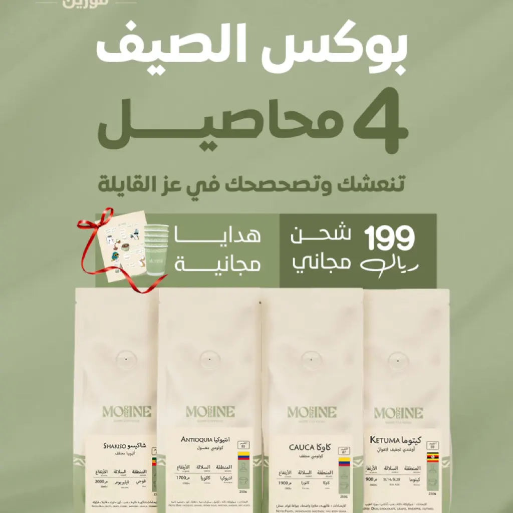 بوكس الصيف