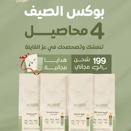 بوكس الصيف