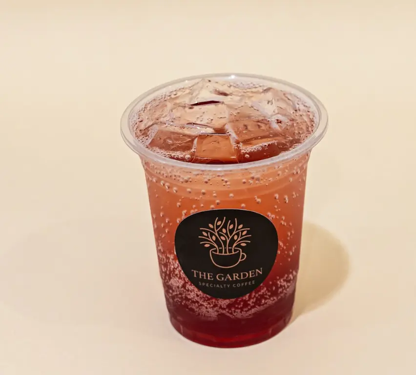 Raspberry Mojito