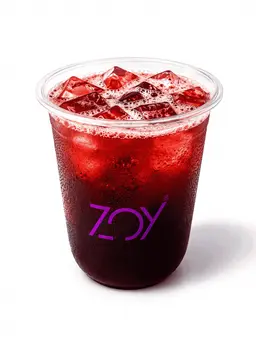 آيس تي زوي